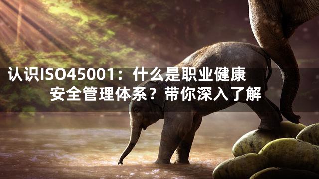 认识ISO45001：什么是职业健康安全管理体系？带你深入了解