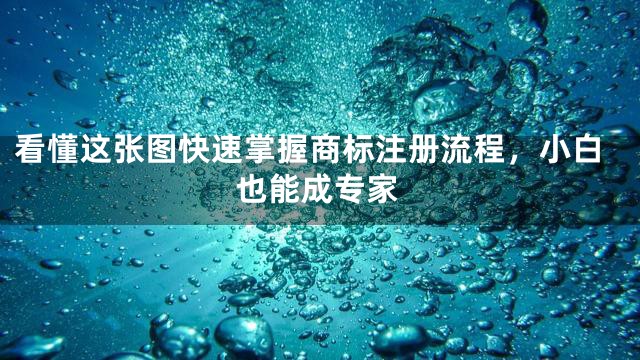 看懂这张图快速掌握商标注册流程，小白也能成专家