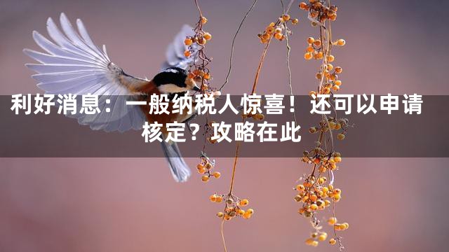 利好消息：一般纳税人惊喜！还可以申请核定？攻略在此