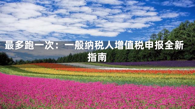最多跑一次：一般纳税人增值税申报全新指南