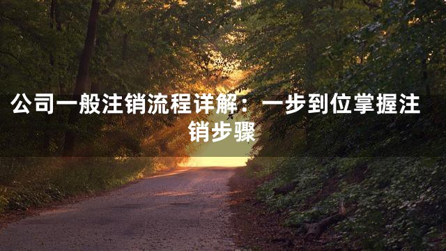 公司一般注销流程详解：一步到位掌握注销步骤