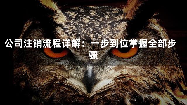 公司注销流程详解：一步到位掌握全部步骤
