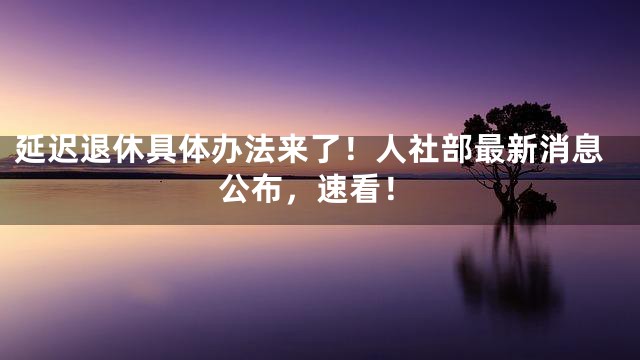 延迟退休具体办法来了！人社部最新消息公布，速看！