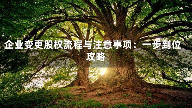企业变更股权流程与注意事项：一步到位攻略