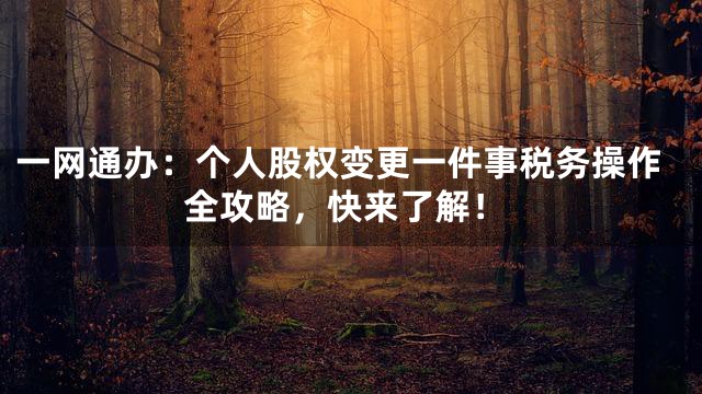 一网通办：个人股权变更一件事税务操作全攻略，快来了解！