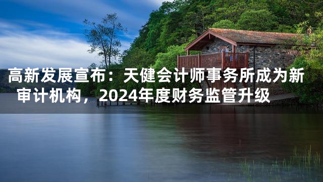 高新发展宣布：天健会计师事务所成为新审计机构，2024年度财务监管升级