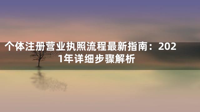 个体注册营业执照流程最新指南：2021年详细步骤解析
