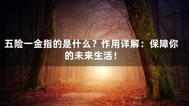 五险一金指的是什么？作用详解：保障你的未来生活！
