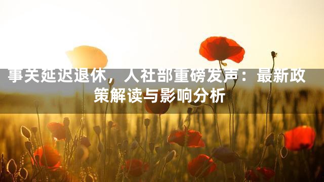 事关延迟退休，人社部重磅发声：最新政策解读与影响分析
