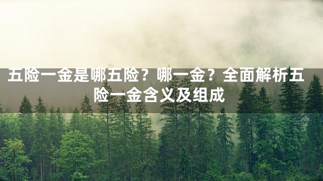 五险一金是哪五险？哪一金？全面解析五险一金含义及组成