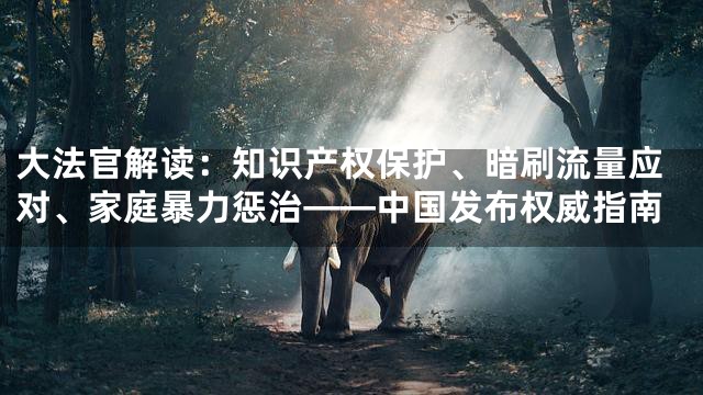 大法官解读：知识产权保护、暗刷流量应对、家庭暴力惩治——中国发布权威指南