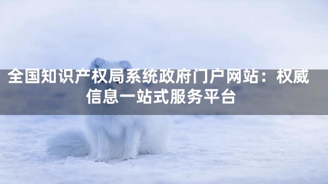 全国知识产权局系统政府门户网站：权威信息一站式服务平台