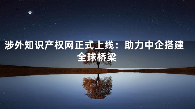 涉外知识产权网正式上线：助力中企搭建全球桥梁