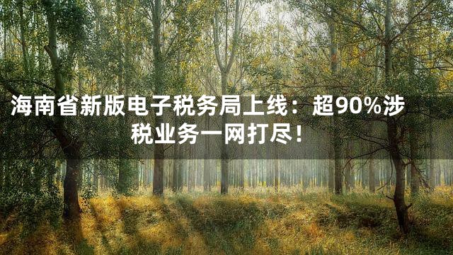 海南省新版电子税务局上线：超90%涉税业务一网打尽！