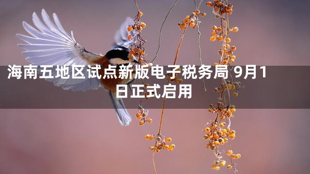 海南五地区试点新版电子税务局 9月1日正式启用