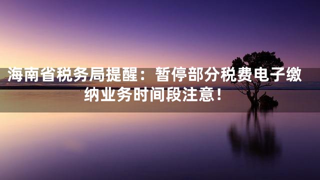 海南省税务局提醒：暂停部分税费电子缴纳业务时间段注意！