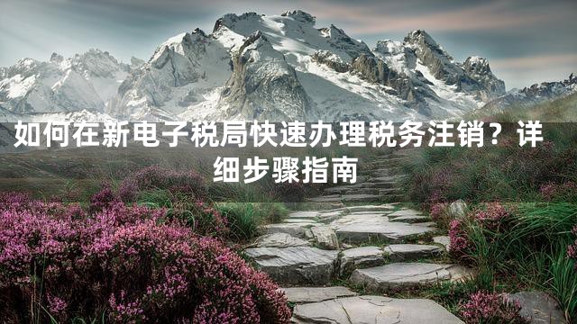如何在新电子税局快速办理税务注销？详细步骤指南