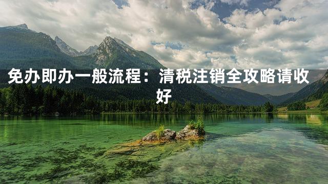 免办即办一般流程：清税注销全攻略请收好