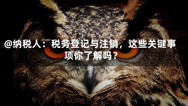 @纳税人：税务登记与注销，这些关键事项你了解吗？