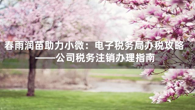 春雨润苗助力小微：电子税务局办税攻略——公司税务注销办理指南