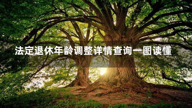 法定退休年龄调整详情查询一图读懂