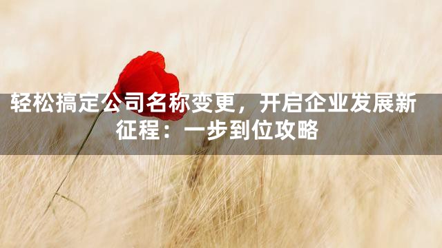 轻松搞定公司名称变更，开启企业发展新征程：一步到位攻略