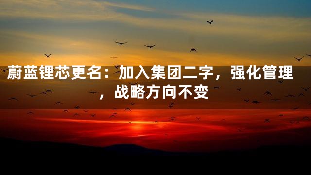 蔚蓝锂芯更名：加入集团二字，强化管理，战略方向不变