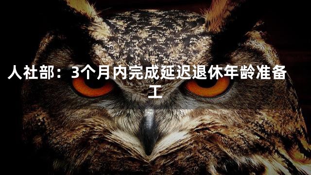 人社部：3个月内完成延迟退休年龄准备工