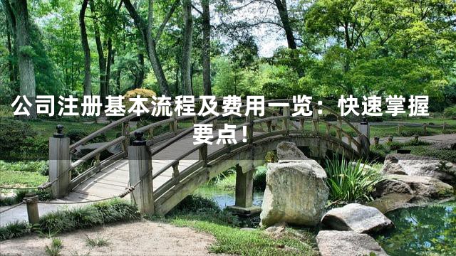 公司注册基本流程及费用一览：快速掌握要点！