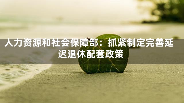 人力资源和社会保障部：抓紧制定完善延迟退休配套政策