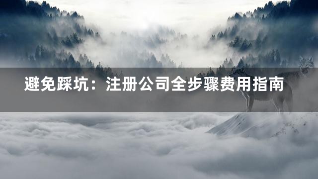 避免踩坑：注册公司全步骤费用指南