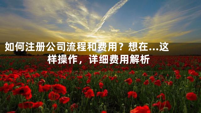 如何注册公司流程和费用？想在...这样操作，详细费用解析