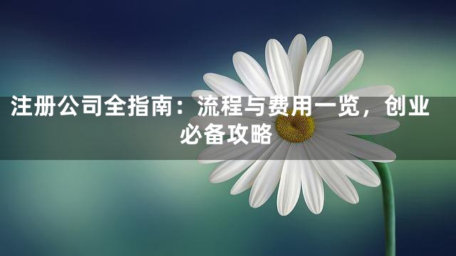 注册公司全指南：流程与费用一览，创业必备攻略