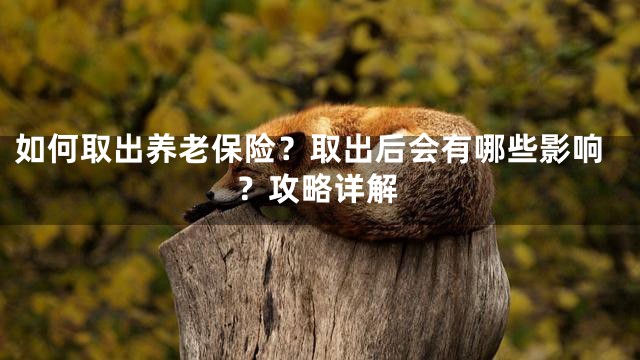 如何取出养老保险？取出后会有哪些影响？攻略详解