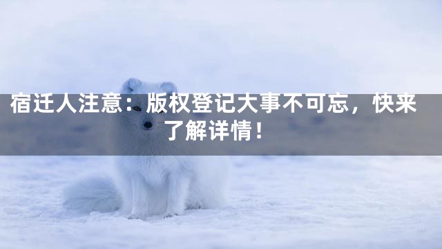 宿迁人注意：版权登记大事不可忘，快来了解详情！