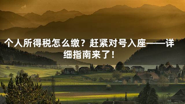 个人所得税怎么缴？赶紧对号入座——详细指南来了！