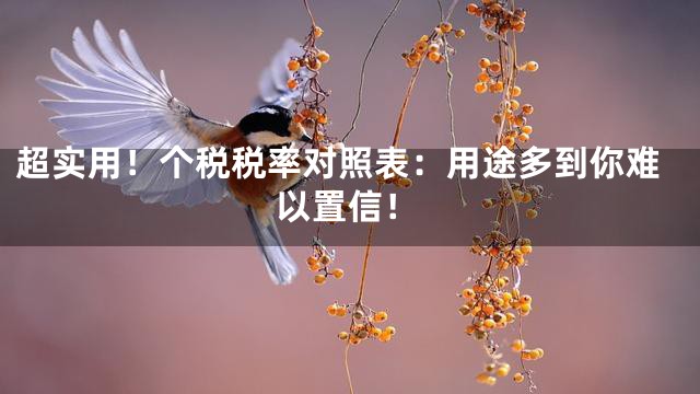超实用！个税税率对照表：用途多到你难以置信！