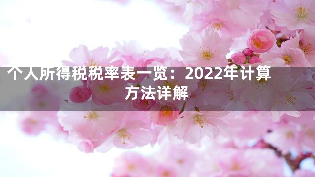 个人所得税税率表一览：2022年计算方法详解