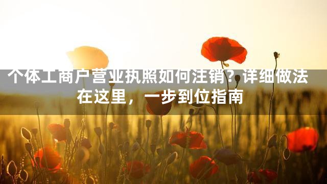 个体工商户营业执照如何注销？详细做法在这里，一步到位指南