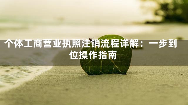 个体工商营业执照注销流程详解：一步到位操作指南