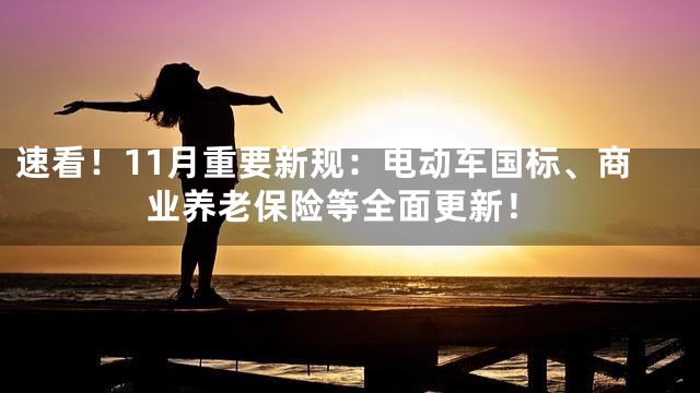 速看！11月重要新规：电动车国标、商业养老保险等全面更新！