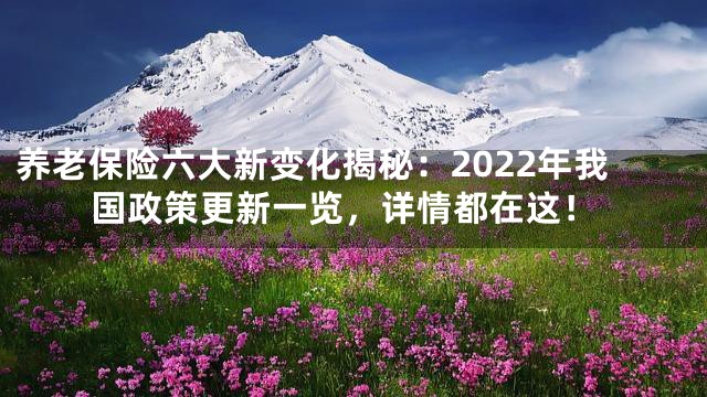 养老保险六大新变化揭秘：2022年我国政策更新一览，详情都在这！