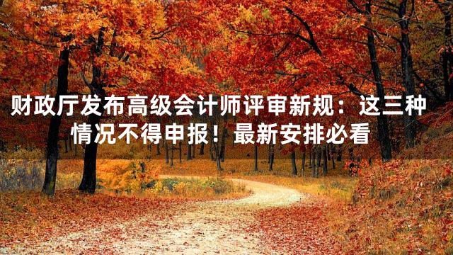 财政厅发布高级会计师评审新规：这三种情况不得申报！最新安排必看