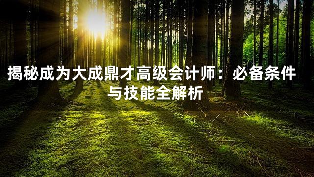 揭秘成为大成鼎才高级会计师：必备条件与技能全解析