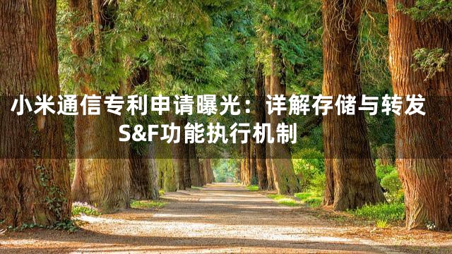 小米通信专利申请曝光：详解存储与转发S&F功能执行机制