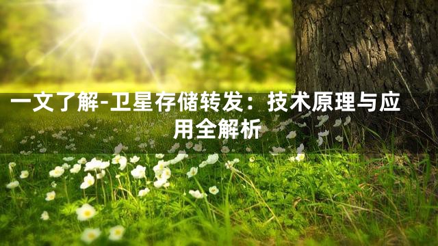 一文了解-卫星存储转发：技术原理与应用全解析