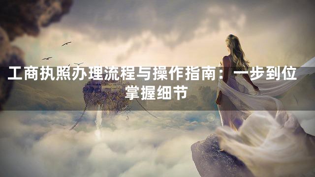 工商执照办理流程与操作指南：一步到位掌握细节