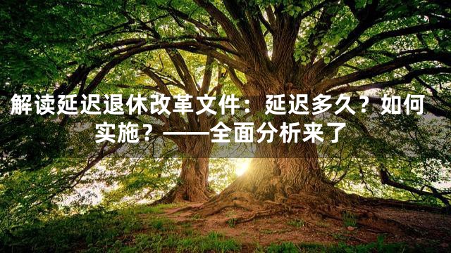 解读延迟退休改革文件：延迟多久？如何实施？——全面分析来了