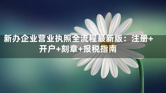 新办企业营业执照全流程最新版：注册+开户+刻章+报税指南