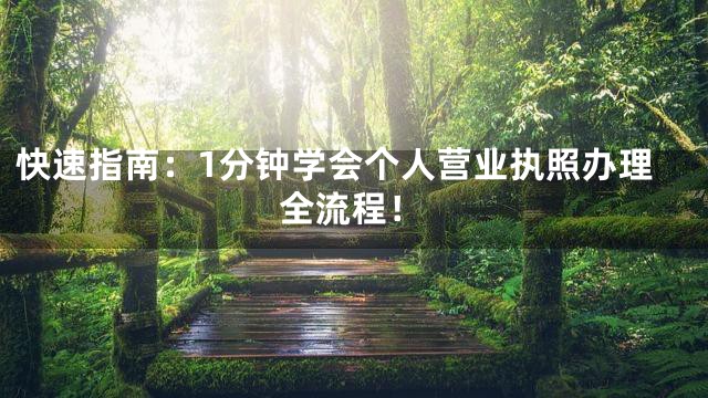 快速指南：1分钟学会个人营业执照办理全流程！